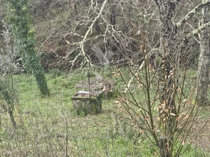 Moradia T3 para Venda em Beco Foto 24