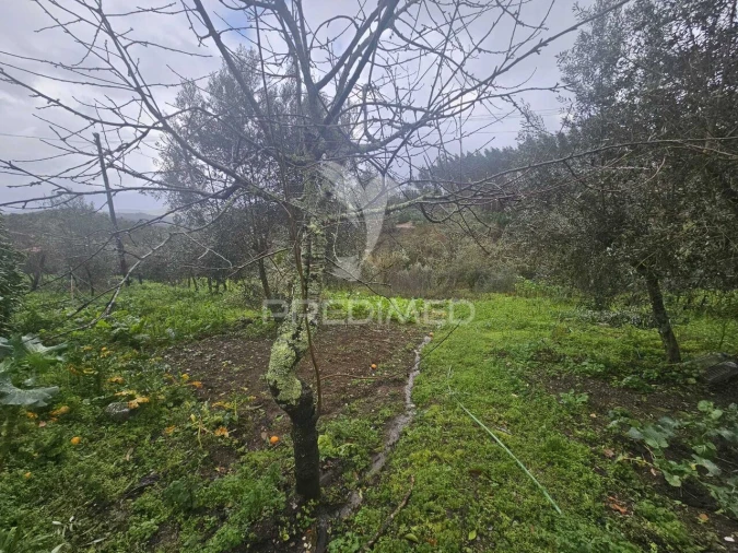 Moradia T3 para Venda em Beco Foto 30