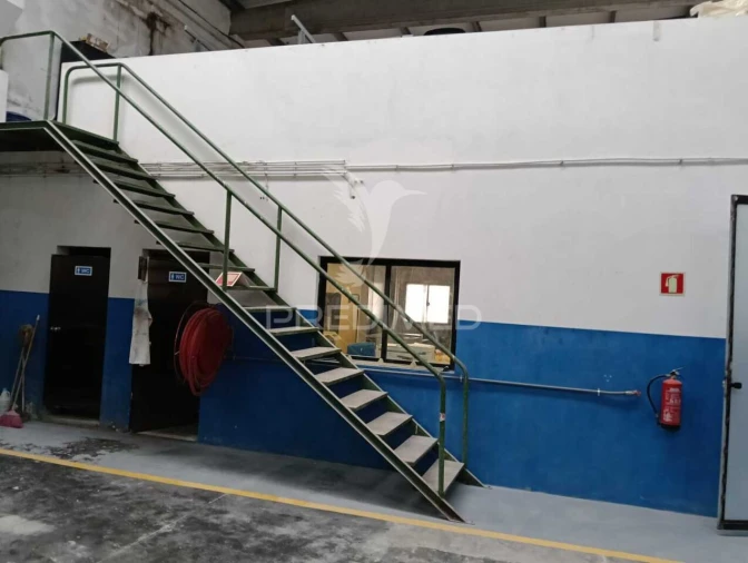 Armazém para Venda em Moreira Foto 6