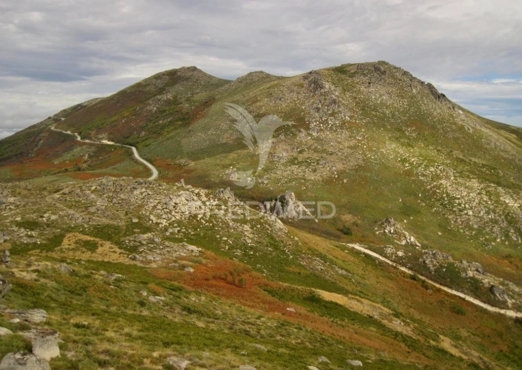 Moradia T2 para Venda em Gralhas Foto 24