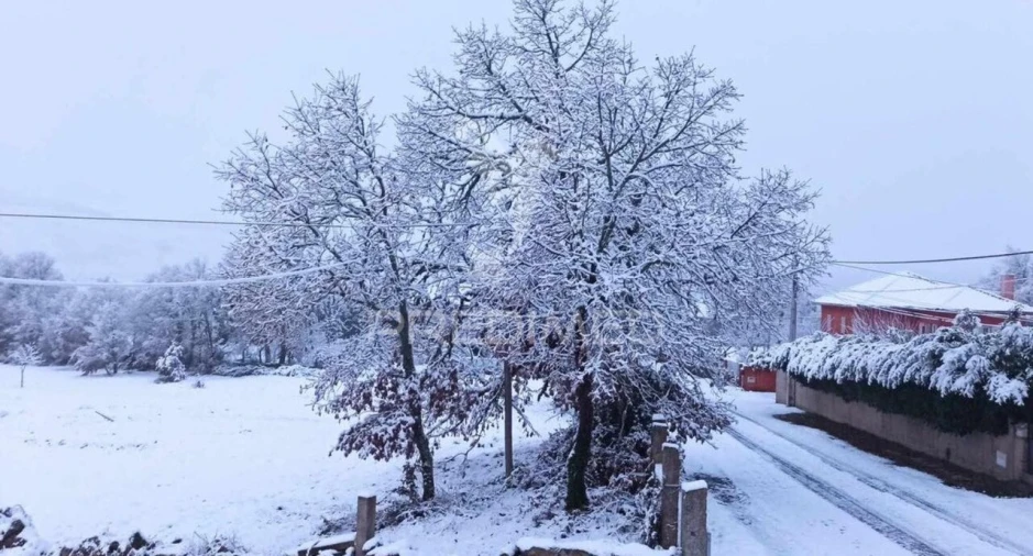 Moradia T2 para Venda em Gralhas Foto 21