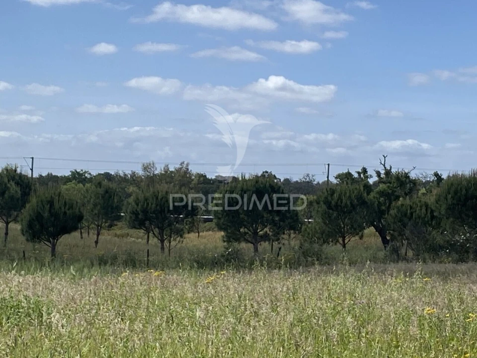 Quinta T1 para Venda em Abela Foto 15