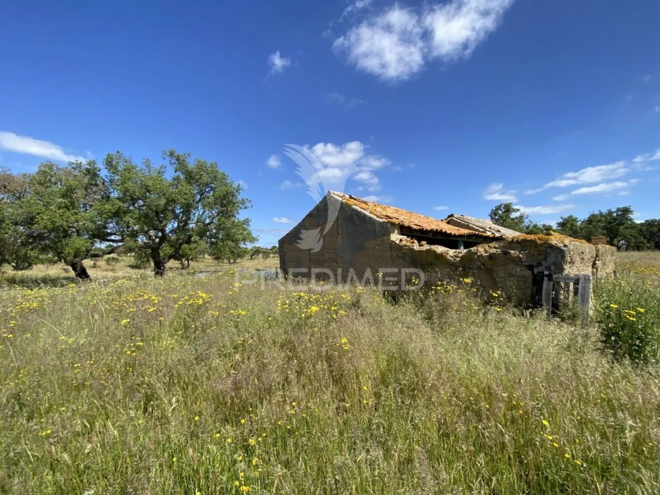 Quinta T1 para Venda em Abela Foto 4