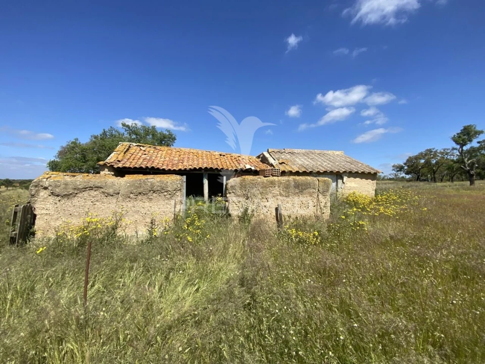 Quinta T1 para Venda em Abela Foto 2