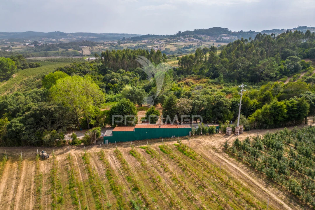 Quinta T2 para Venda em Cela Foto 35