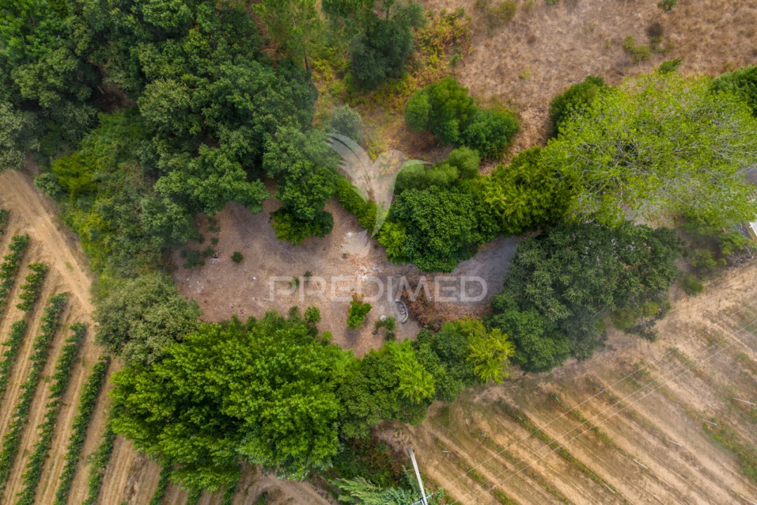 Quinta T2 para Venda em Cela Foto 31