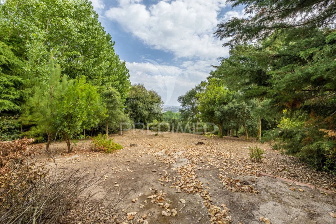 Quinta T2 para Venda em Cela Foto 11