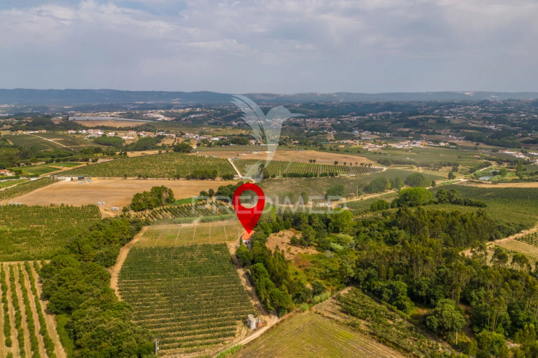 Quinta T2 para Venda em Cela Foto 39