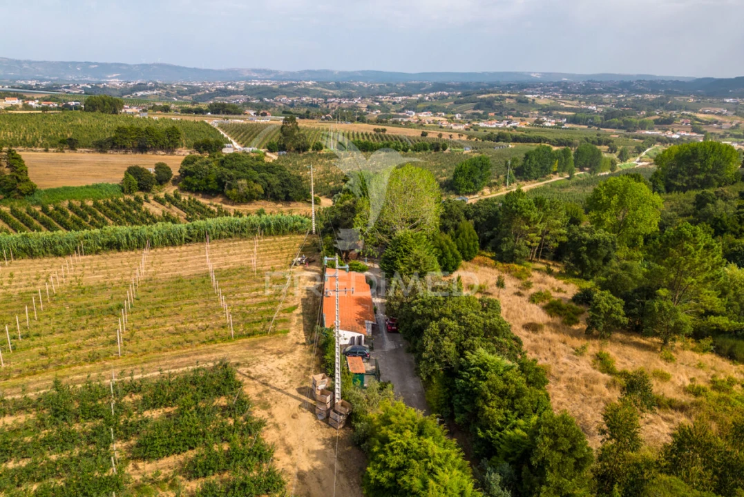 Quinta T2 para Venda em Cela Foto 37