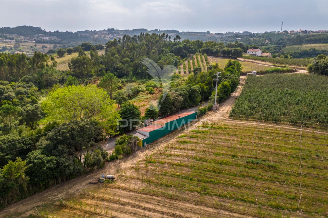 Quinta T2 para Venda em Cela Foto 34