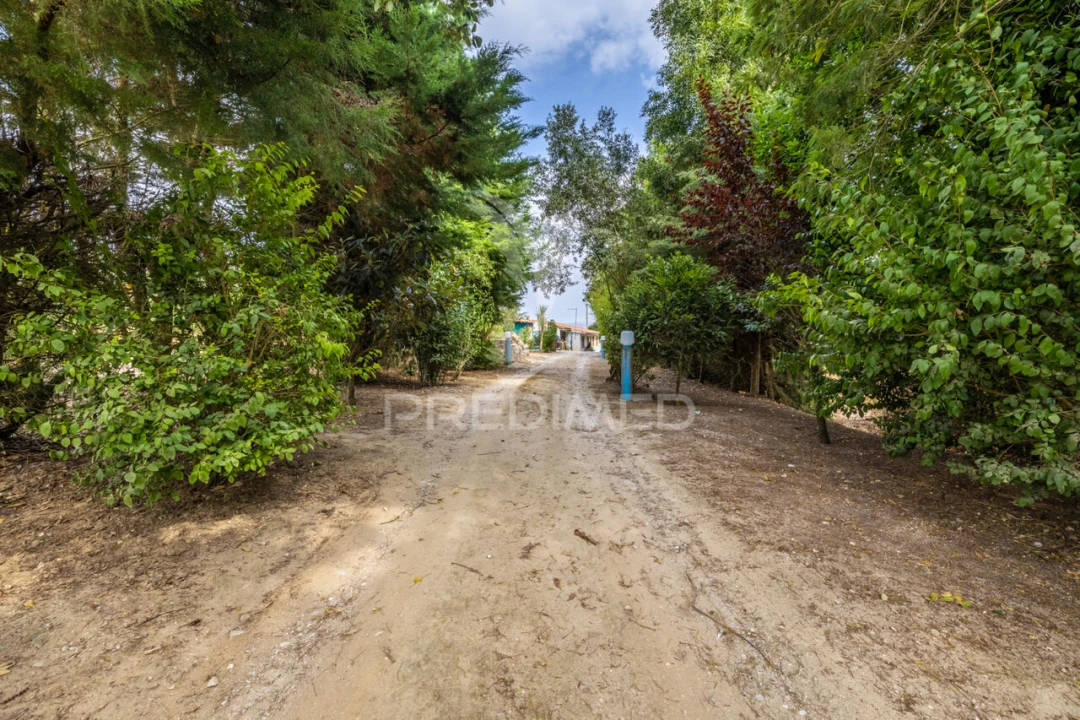 Quinta T2 para Venda em Cela Foto 10