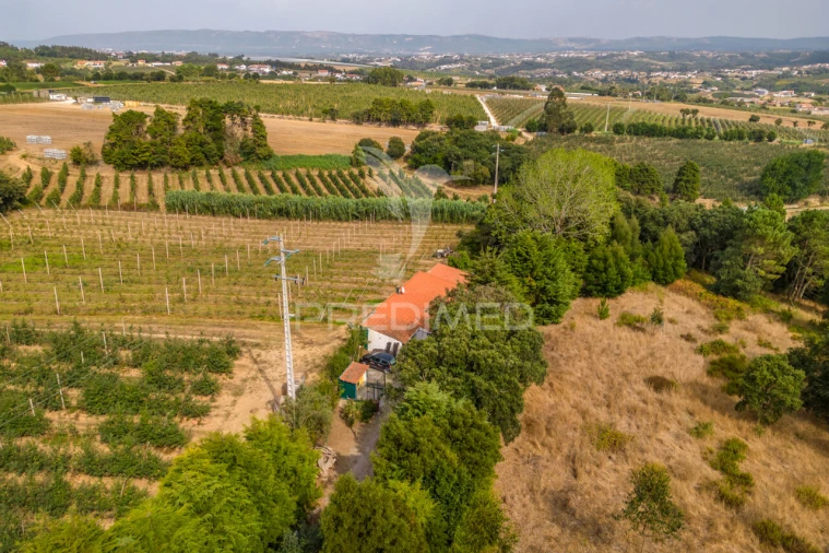 Quinta T2 para Venda em Cela Foto 38