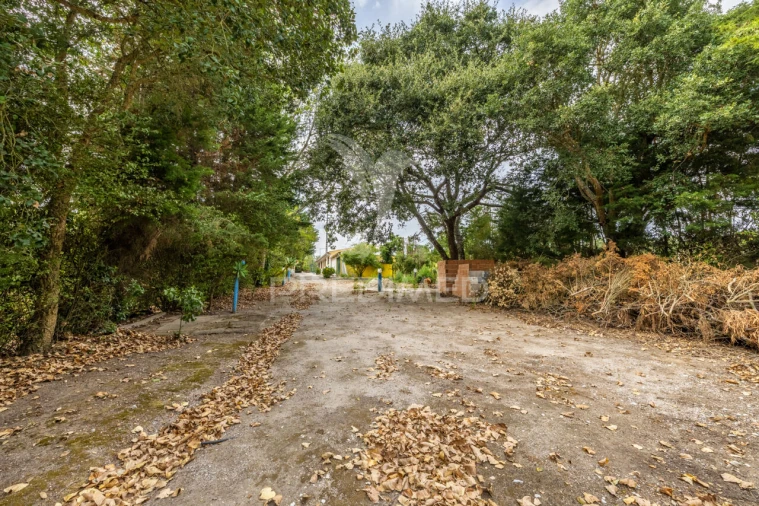 Quinta T2 para Venda em Cela Foto 13