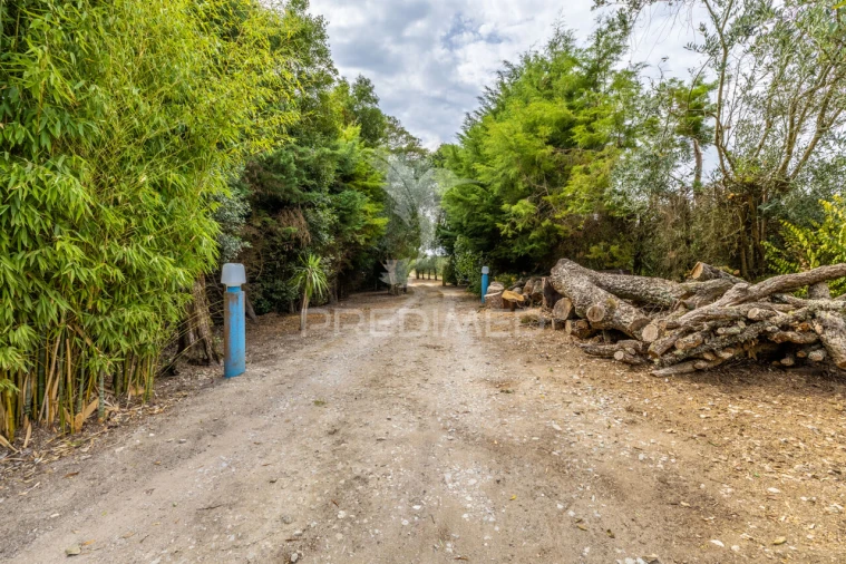 Quinta T2 para Venda em Cela Foto 12