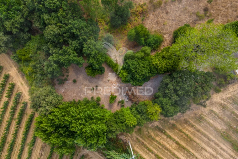 Quinta T2 para Venda em Cela Foto 31