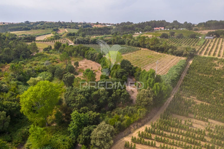 Quinta T2 para Venda em Cela Foto 32