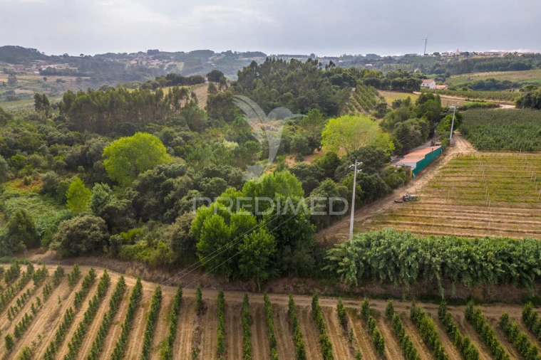 Quinta T2 para Venda em Cela Foto 33