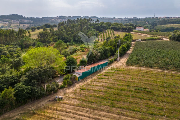 Quinta T2 para Venda em Cela Foto 34
