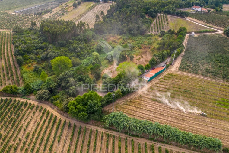 Quinta T2 para Venda em Cela Foto 30