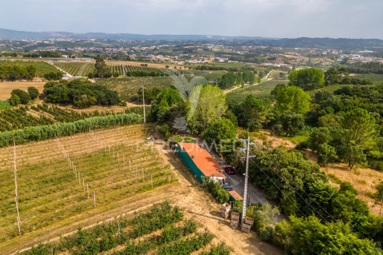 Quinta T2 para Venda em Cela Foto 36
