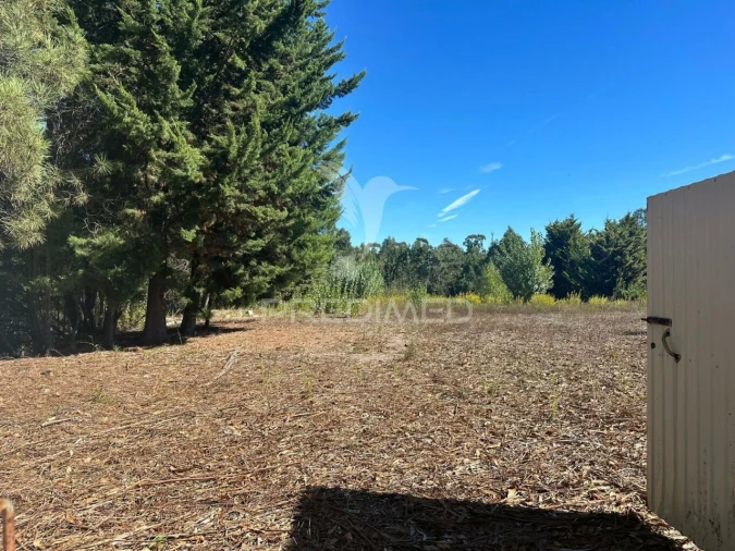 Terreno para Venda em Seiça