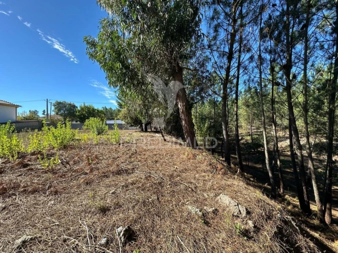 Terreno para Venda em Seiça Foto 7