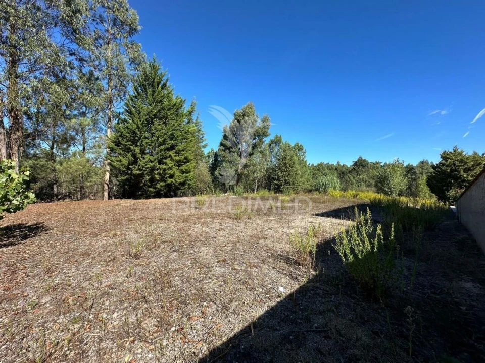 Terreno para Venda em Seiça Foto 3