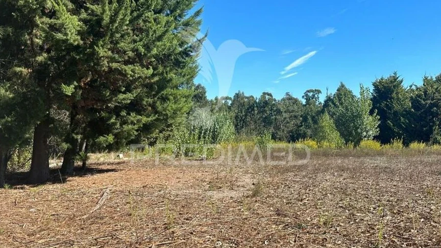 Terreno para Venda em Seiça
