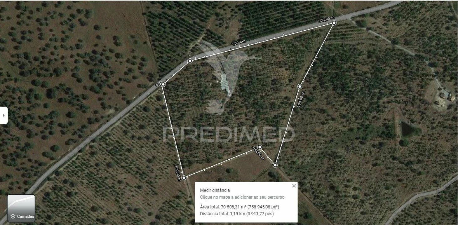 Terreno para Venda em Ourique Foto 16