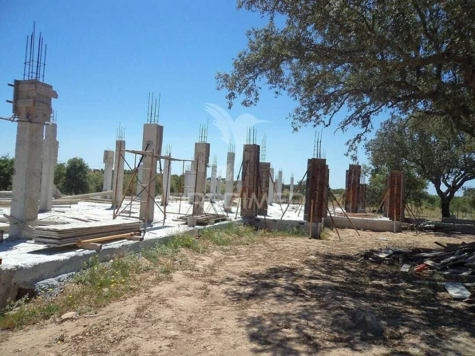 Terreno para Venda em Ourique Foto 9