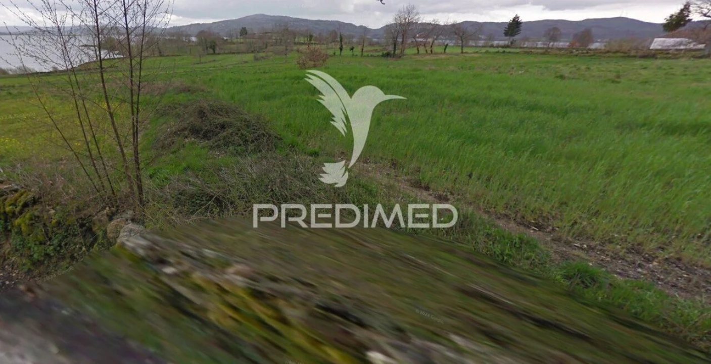 Terreno para Venda em Chã Foto 2