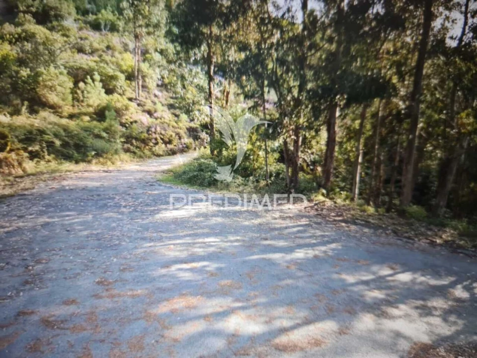 Terreno para Venda em Castelo Foto 1