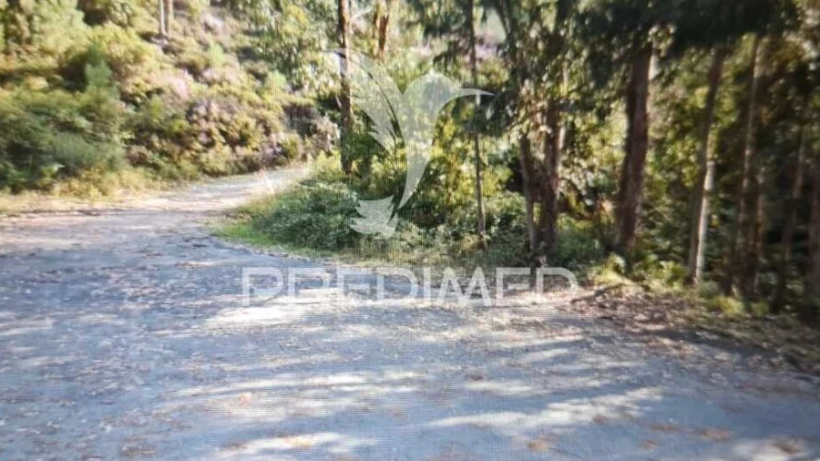 Terreno para Venda em Castelo