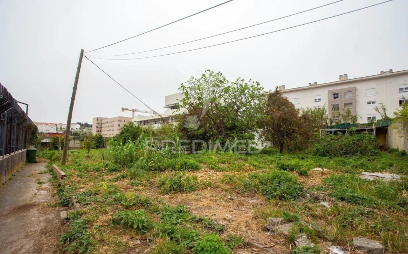 Terreno para Venda em Ajuda Foto 2