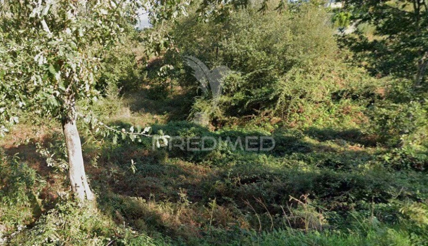 Terreno para Venda em Oliveira do Douro Foto 1