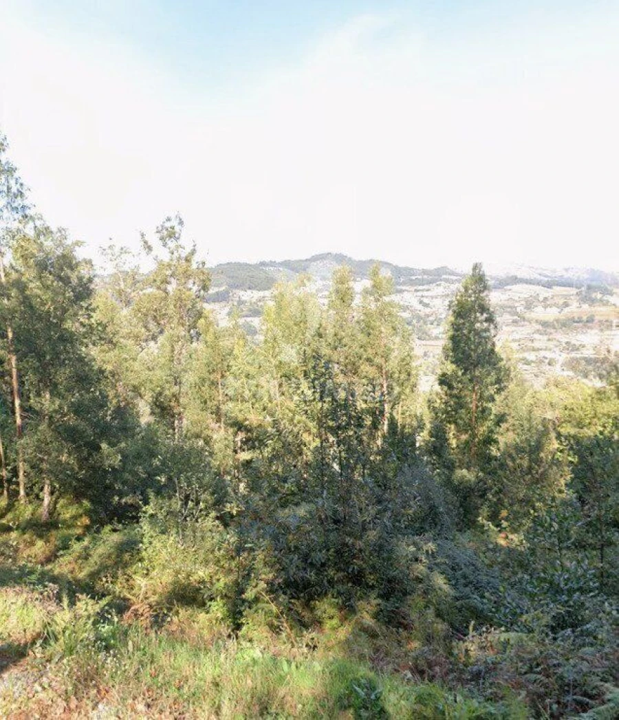 Terreno para Venda em Oliveira do Douro Foto 3