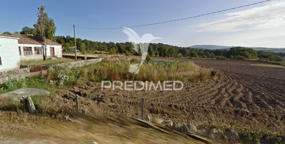 Terreno para Venda em Chã