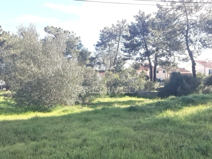Terreno para Venda em Quinta do Conde Foto 4