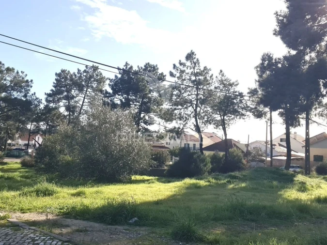 Terreno para Venda em Quinta do Conde Foto 3