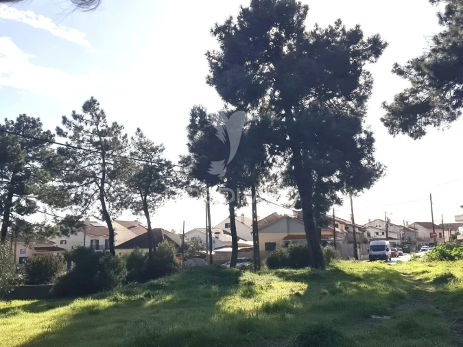 Terreno para Venda em Quinta do Conde Foto 9