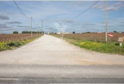 Terreno para Venda em Palmela