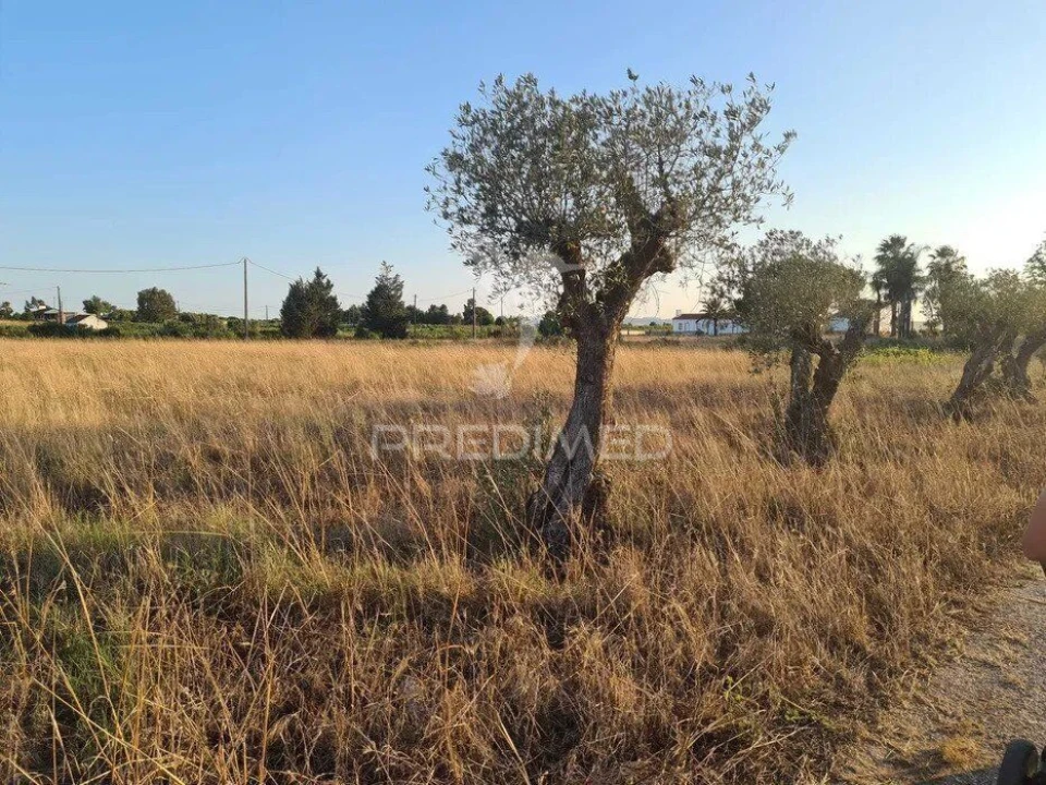 Terreno para Venda em Palmela Foto 5