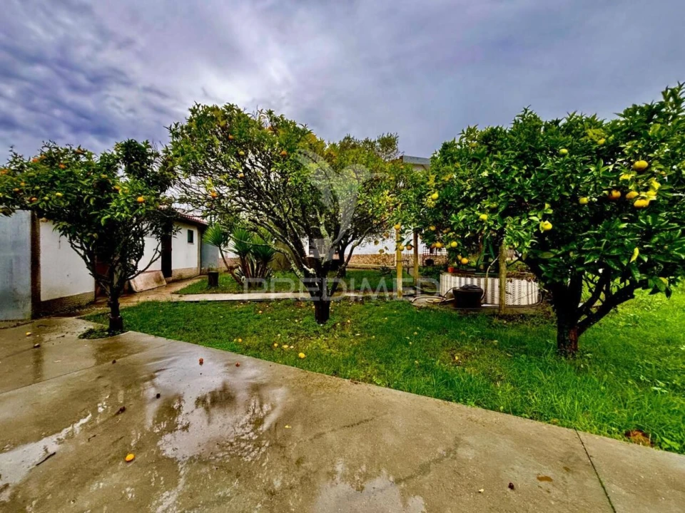 Moradia T4 para Venda em Santa Maria, São Pedro e Sobral da Lagoa Foto 5