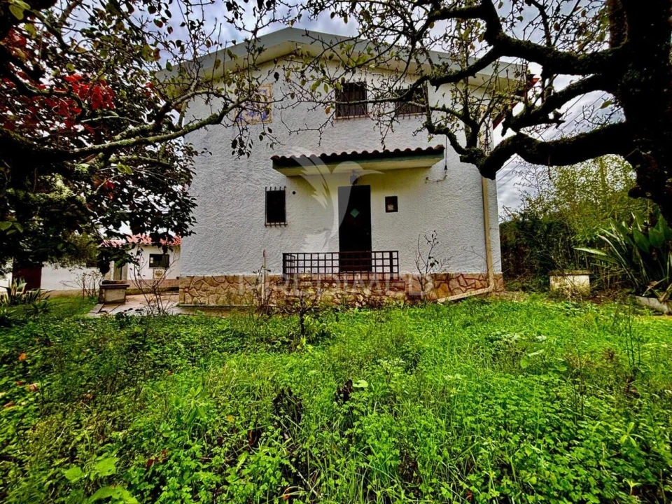 Moradia T4 para Venda em Santa Maria, São Pedro e Sobral da Lagoa Foto 2