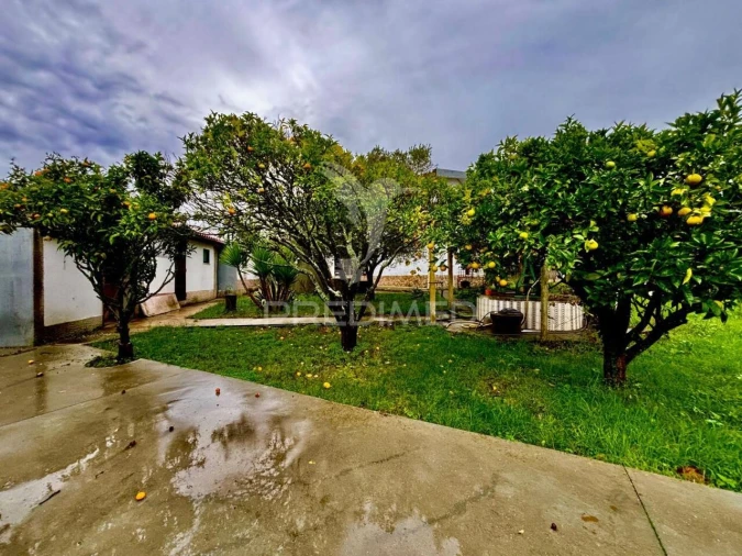 Moradia T4 para Venda em Santa Maria, São Pedro e Sobral da Lagoa Foto 5