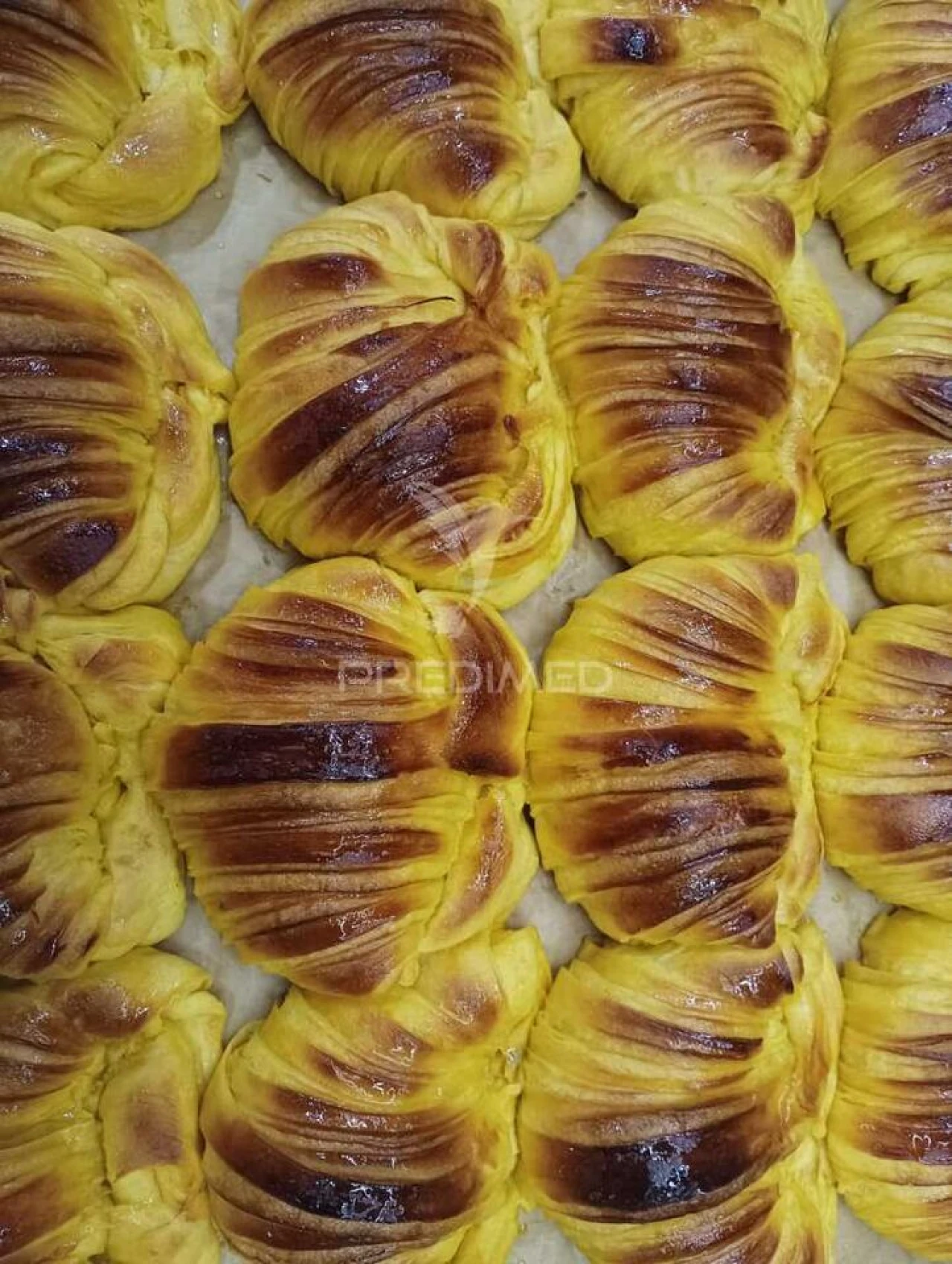 Loja para Venda em Gandra Foto 4