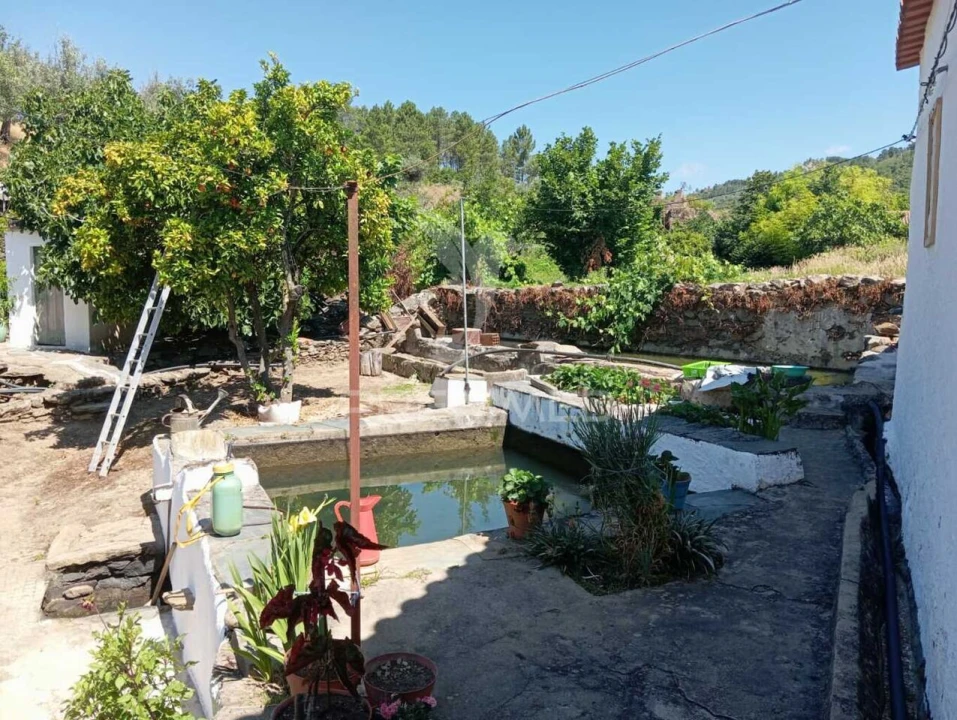 Quinta T0 para Venda em Alegrete Foto 7