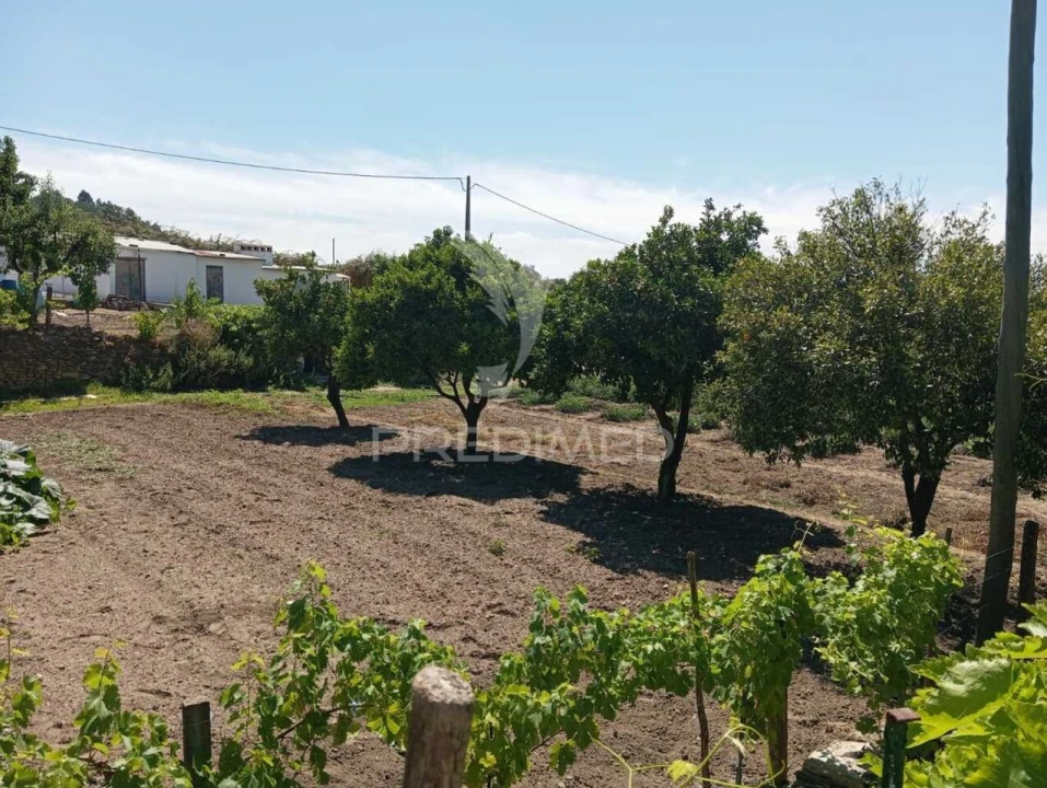 Quinta T0 para Venda em Alegrete Foto 12