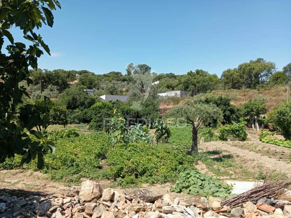 Quinta T0 para Venda em Alegrete Foto 10