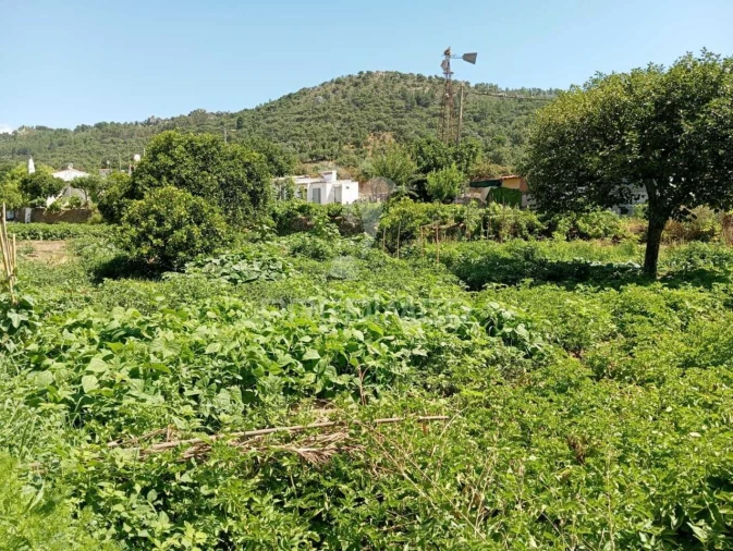 Quinta T0 para Venda em Alegrete Foto 14